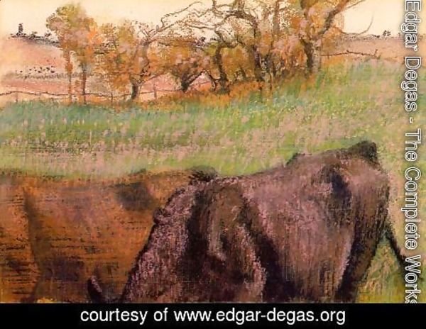 Edgar Degas - Landscape: Cows in the Foreground