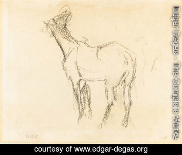 Edgar Degas - the first Study of a Horse raising his Head towards the Left
