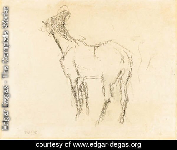 the first Study of a Horse raising his Head towards the Left