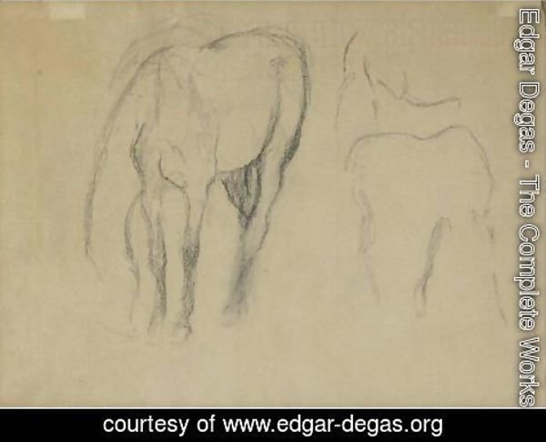 Edgar Degas - Etude De Cheval